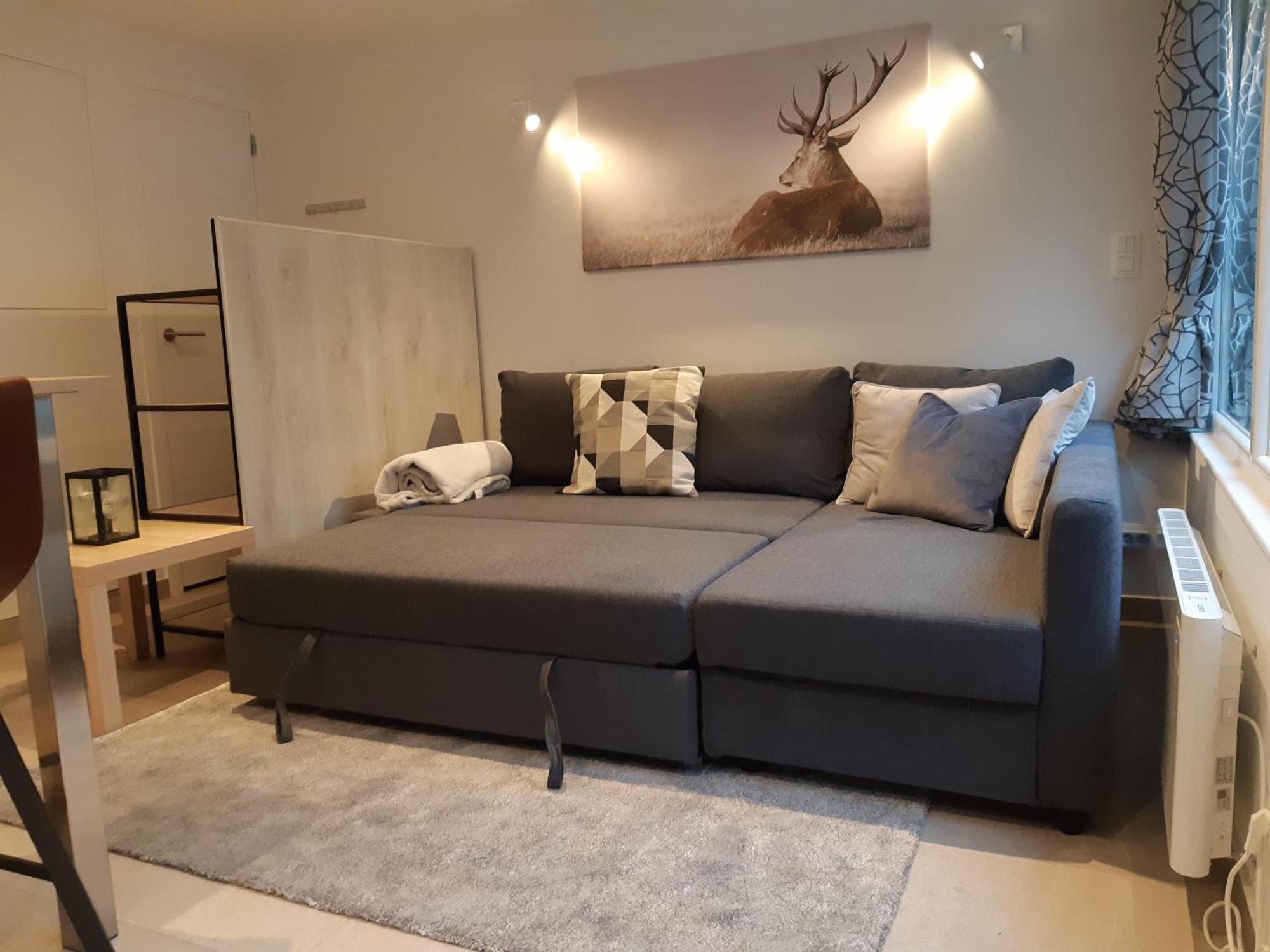 Terrasses De Malmedy F&L Triplex 214 Et Studio 320 Et 317 Et Studio Superieur 340 Værelse billede